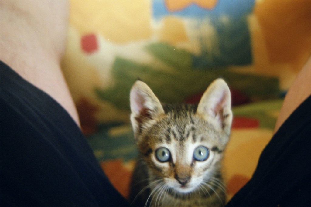 Dumé nous a quitté …