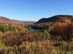 Les couleurs à Stoneham-Tewkesbury