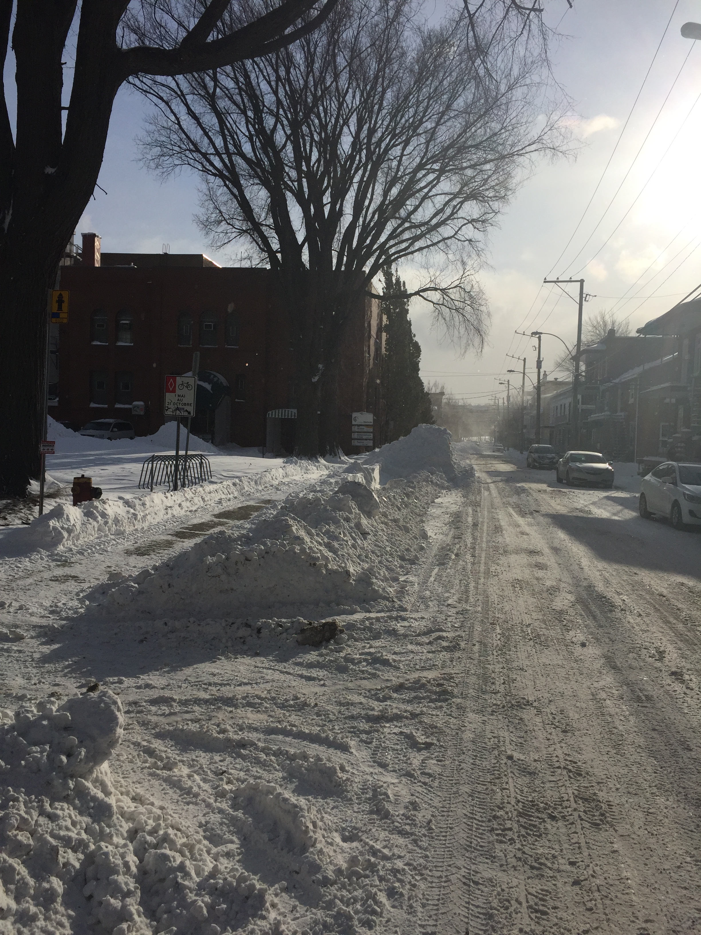 8848A322-1194-4E69-9A06-1D4B203E7E01